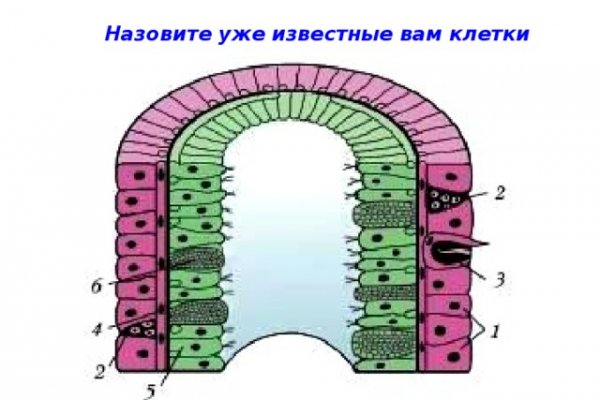 Кракен тор ссылка магазин