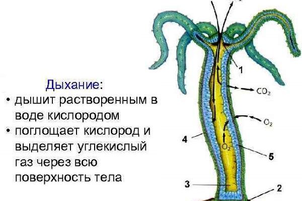 Кракен сайт 14